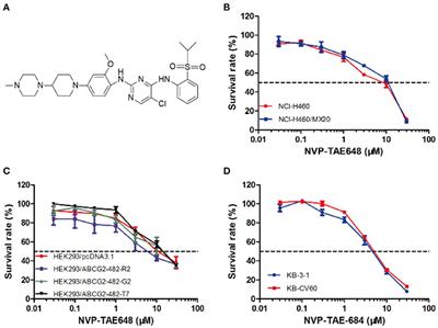 Reversal Effect of ALK Inhibitor NVP-TAE684 on ABCG2-Overexpressing Cancer Cells